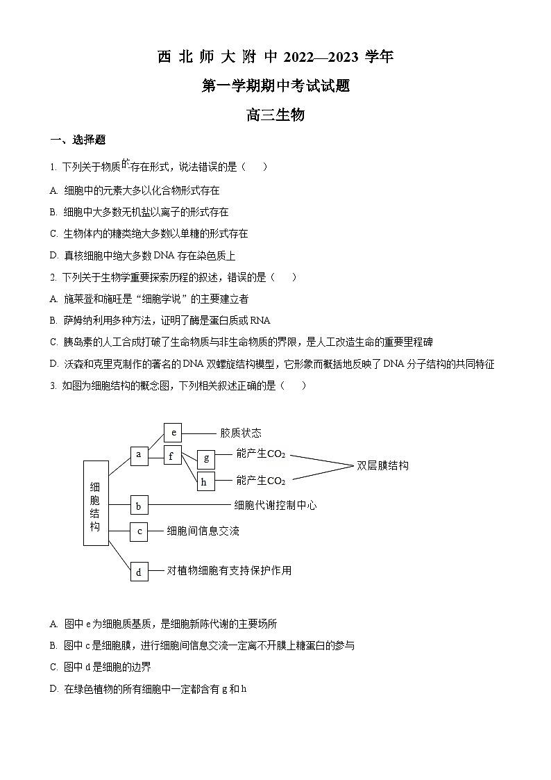 【期中真题】甘肃省西北师范大学附中2022-2023学年高三上学期期中生物试题（原卷版）第1页