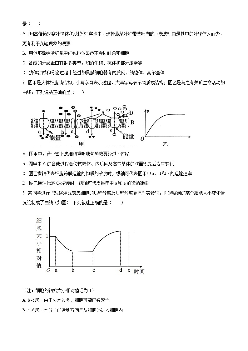 【期中真题】贵州省贵阳市乌当区2022-2023学年高三上学期期中质量监测生物试题（原卷版）第2页