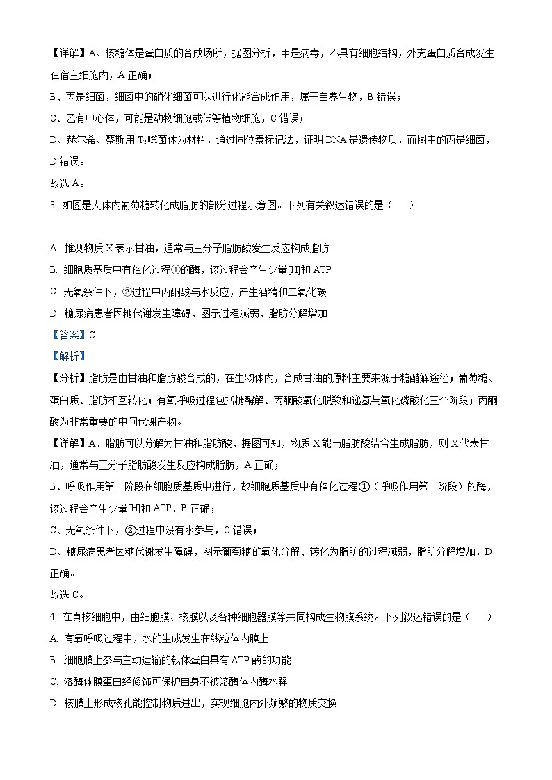【期中真题】辽宁省本溪市高级中学2022—2023学年高三上学期期中测试生物试题（解析版）第2页