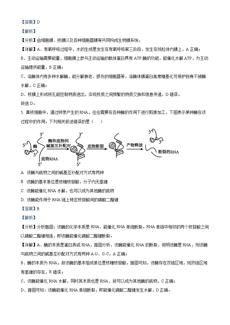 【期中真题】辽宁省本溪市高级中学2022—2023学年高三上学期期中测试生物试题（解析版）第3页