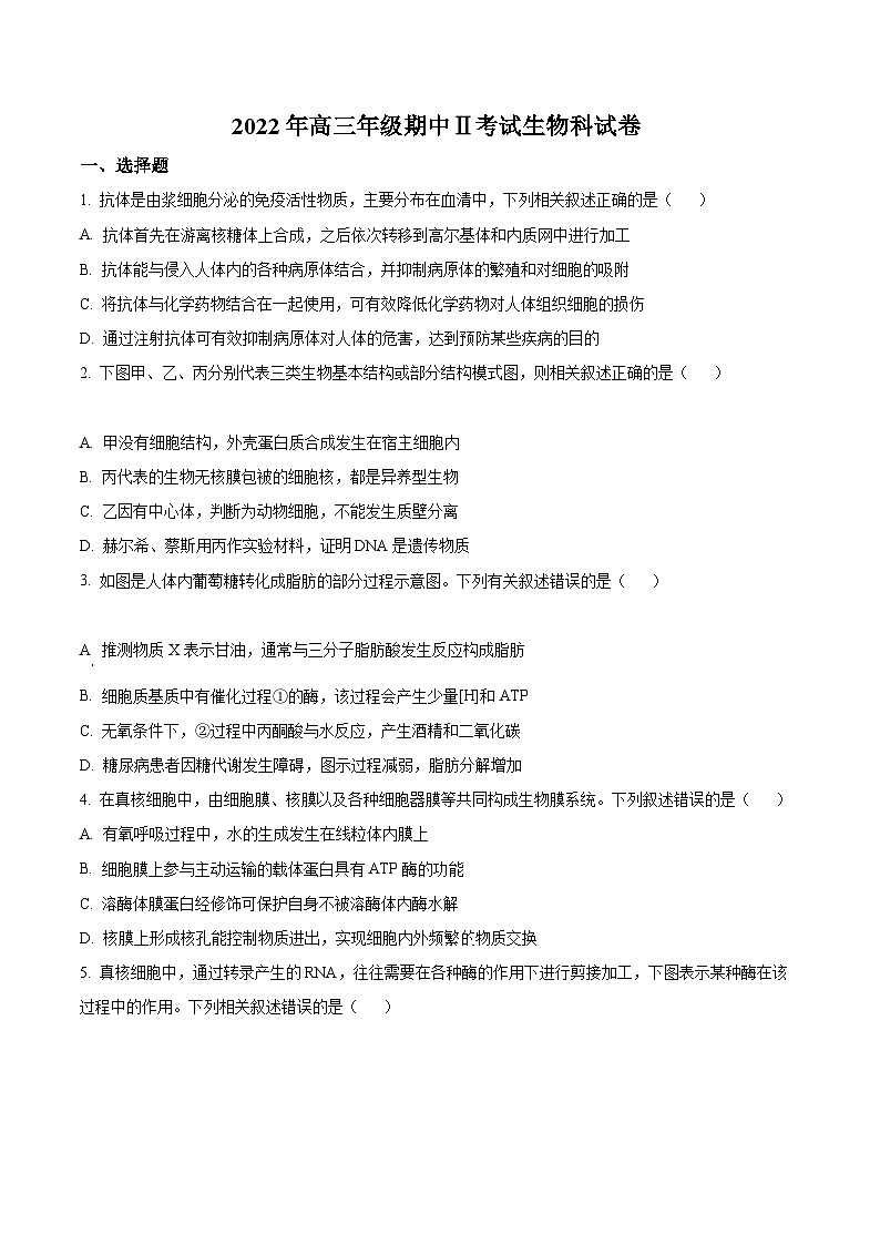 【期中真题】辽宁省本溪市高级中学2022—2023学年高三上学期期中测试生物试题（原卷版）第1页