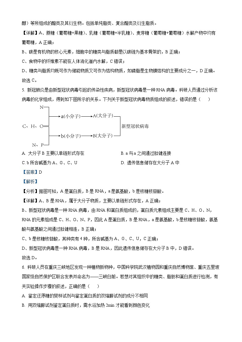 【期中真题】陕西省咸阳市礼泉县2022-2023学年高三上学期期中学科素养评价生物试题（解析版）第3页
