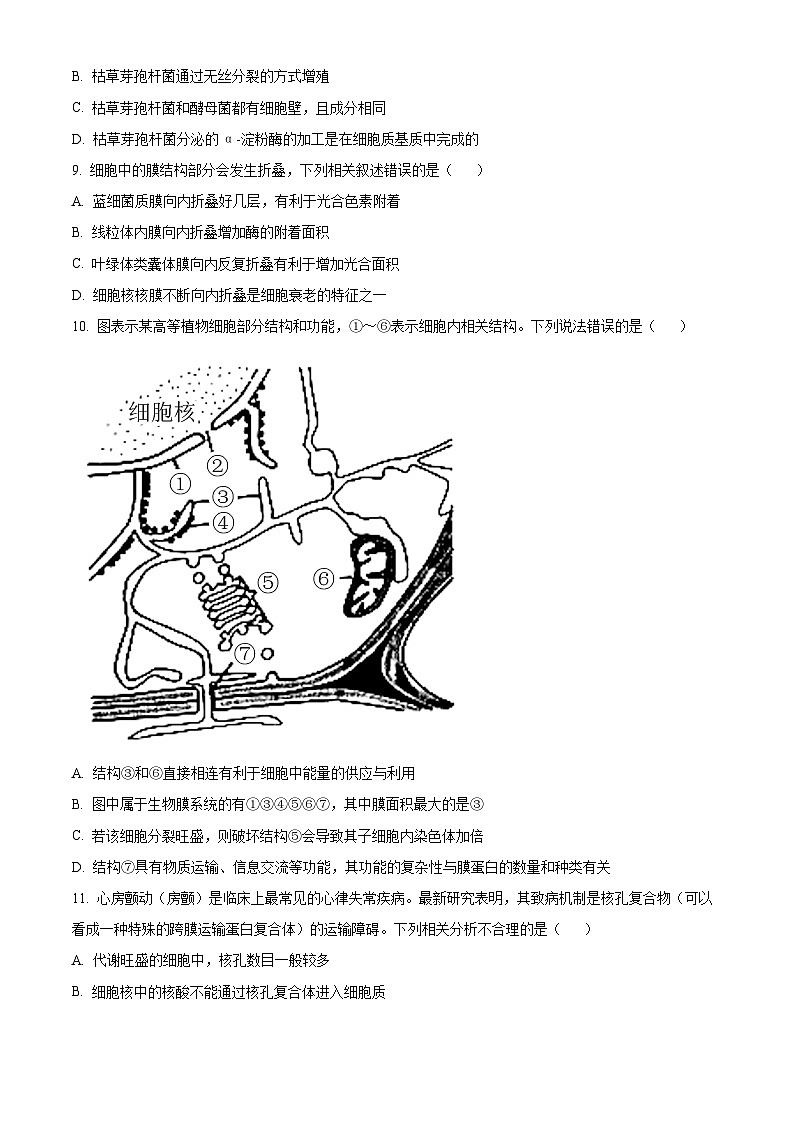 【期中真题】陕西省渭南市蒲城县2021-2022学年高三上学期期中生物试题（原卷版）第3页