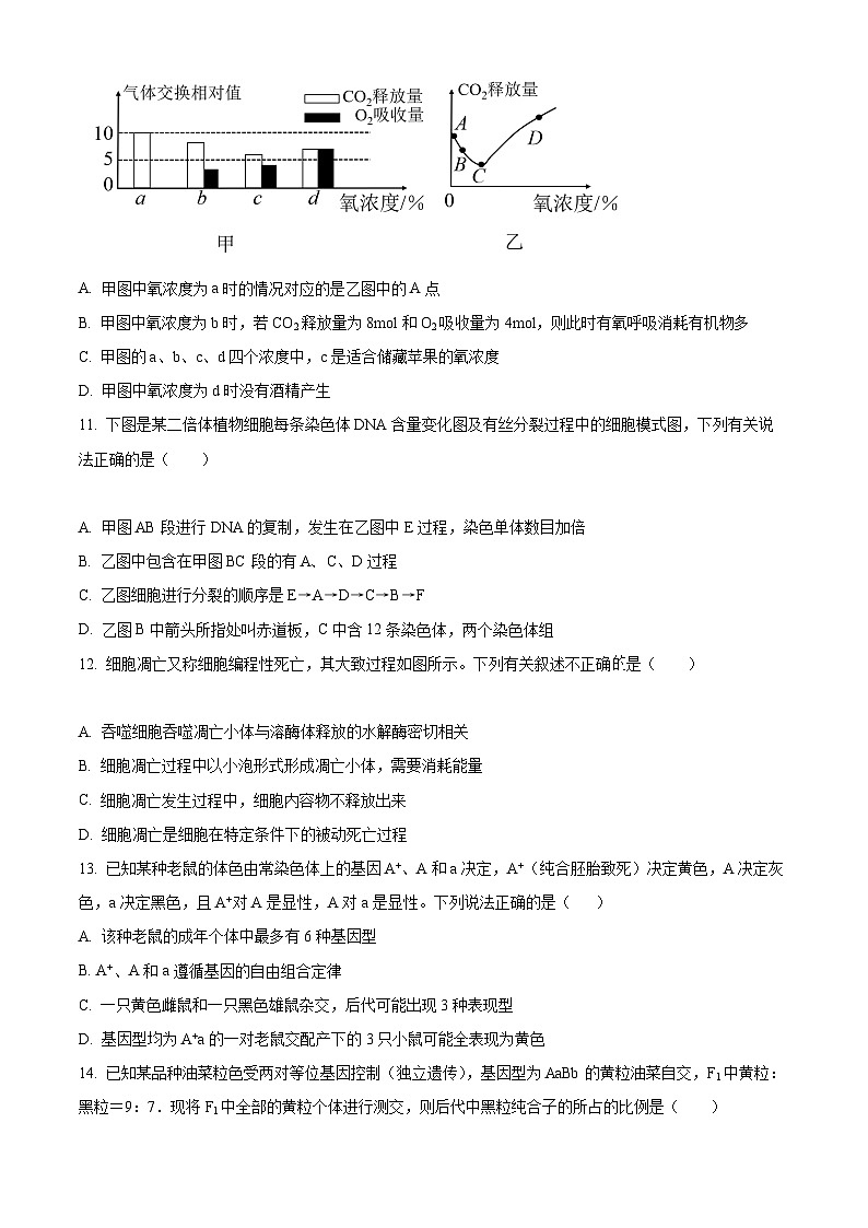 【期中真题】黑龙江省佳木斯市一中2022-2023学年高三上学期第三次调研生物试题（原卷版）第3页