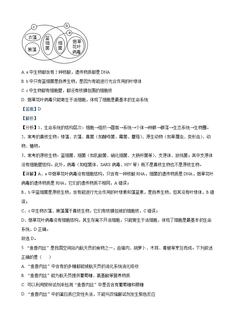 【期中真题】内蒙古乌兰察布市2022-2023学年高一上学期期中生物试题（解析版）第3页