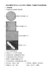 【期中真题】北京市四中2021-2022学年高一上学期期中生物试题.zip