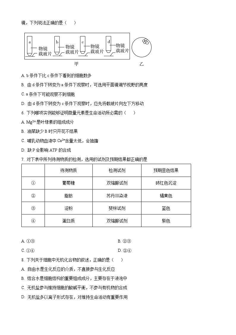 【期中真题】吉林省长春外国语学校2021-2022学年高一上学期期中生物试题（原卷版）第2页