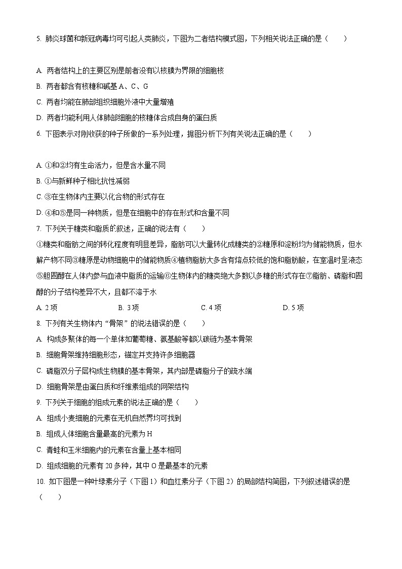 【期中真题】吉林省长春市东北师范大学附中高一上学期期中生物试题02