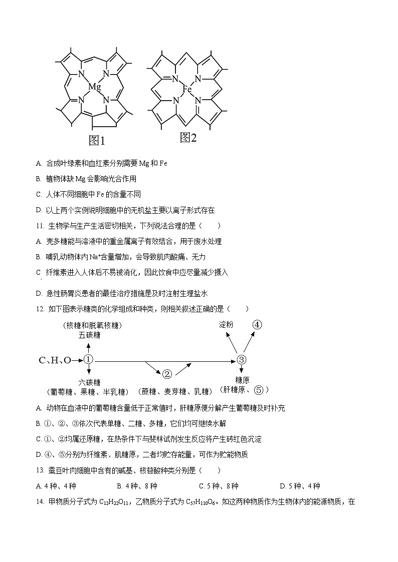 【期中真题】吉林省长春市东北师范大学附中高一上学期期中生物试题03