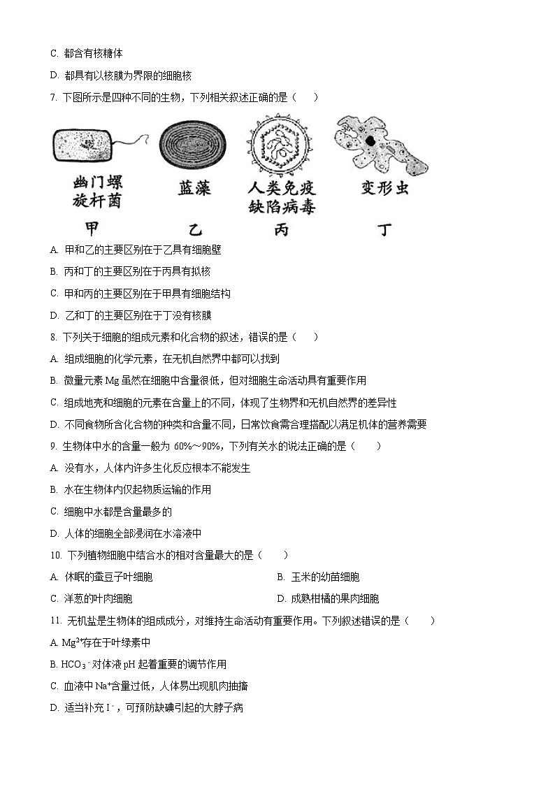 【期中真题】四川省成都外国语学校高一上学期期中生物试题02