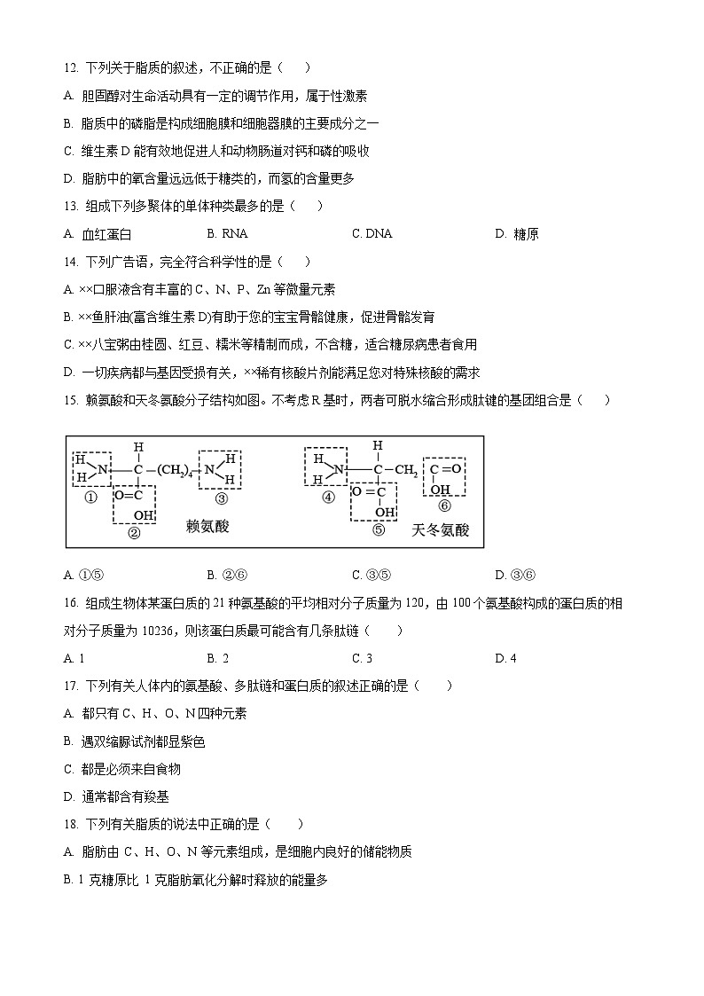 【期中真题】四川省成都外国语学校高一上学期期中生物试题03