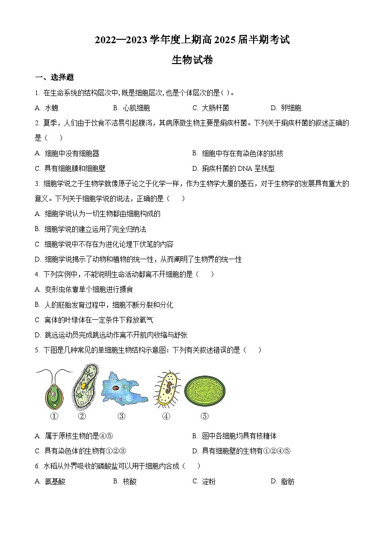 【期中真题】四川省成都市七中高一上学期期中生物试题01