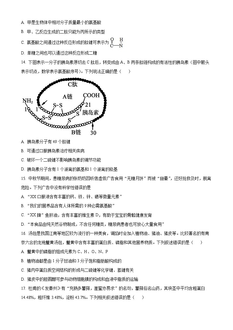 【期中真题】四川省成都市七中高一上学期期中生物试题03