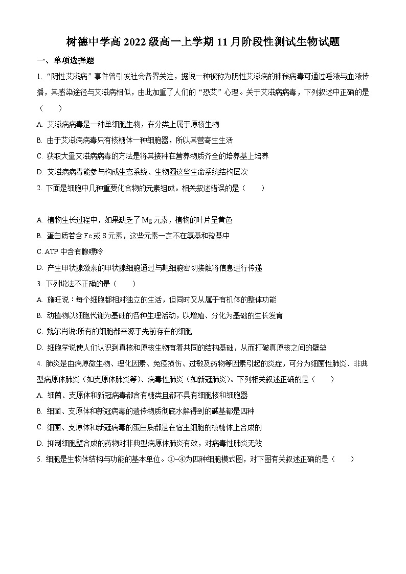 【期中真题】四川省成都市树德中学高一上学期11月（期中）阶段性测试生物试题01