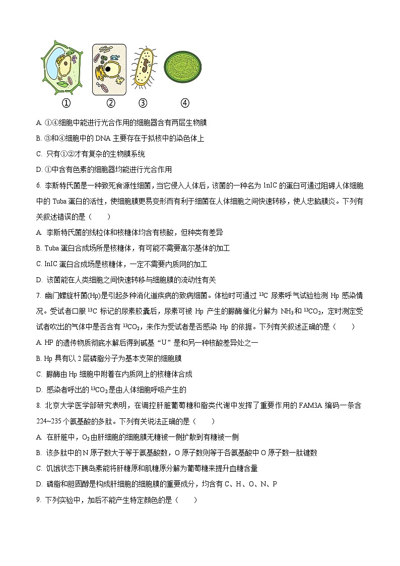 【期中真题】四川省成都市树德中学高一上学期11月（期中）阶段性测试生物试题02