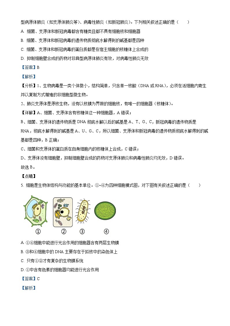 【期中真题】四川省成都市树德中学高一上学期11月（期中）阶段性测试生物试题03