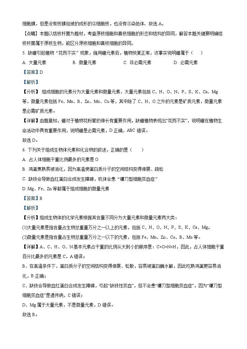 【期中真题】宁夏银川市二中2022-2023学年高一上学期期中生物试题（解析版）第3页