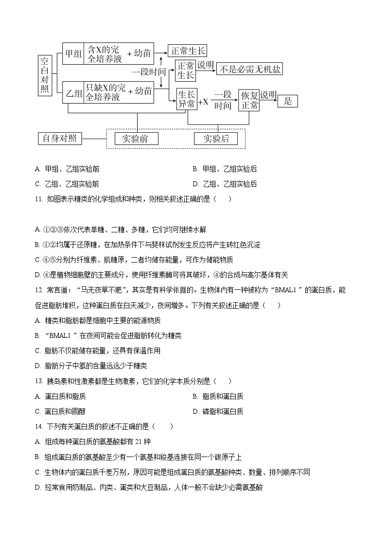 【期中真题】宁夏银川市二中2022-2023学年高一上学期期中生物试题（原卷版）第3页