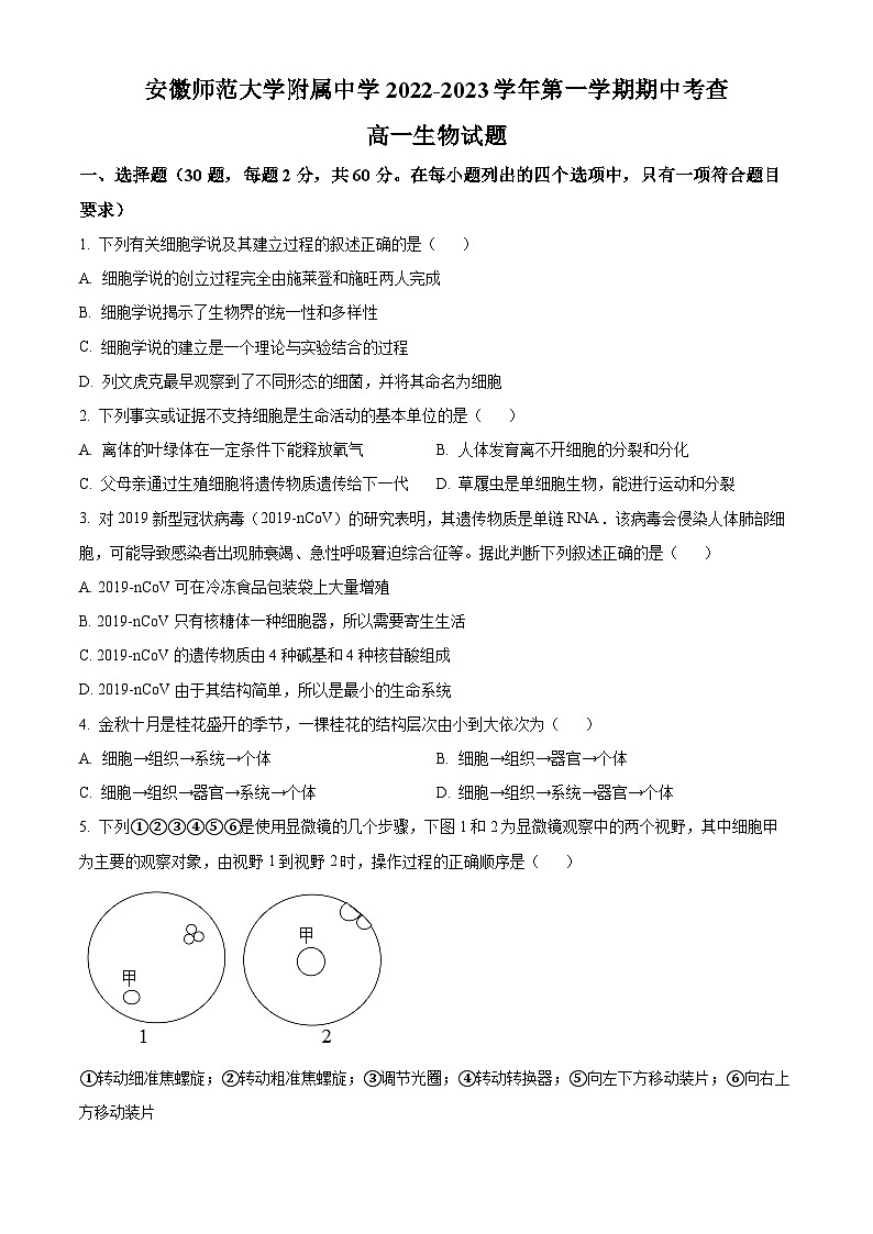 【期中真题】安徽师范大学附中2022-2023学年高一上学期期中生物试题（原卷版）第1页
