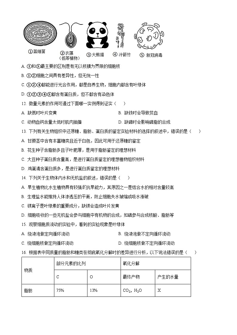 【期中真题】安徽师范大学附中2022-2023学年高一上学期期中生物试题（原卷版）第3页