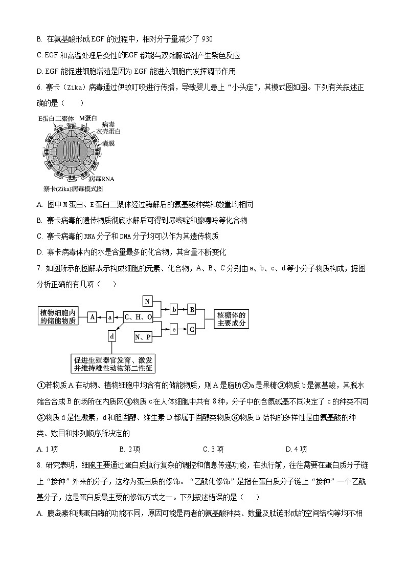 【期中真题】山东省青岛市二中一上学期期中生物试题02