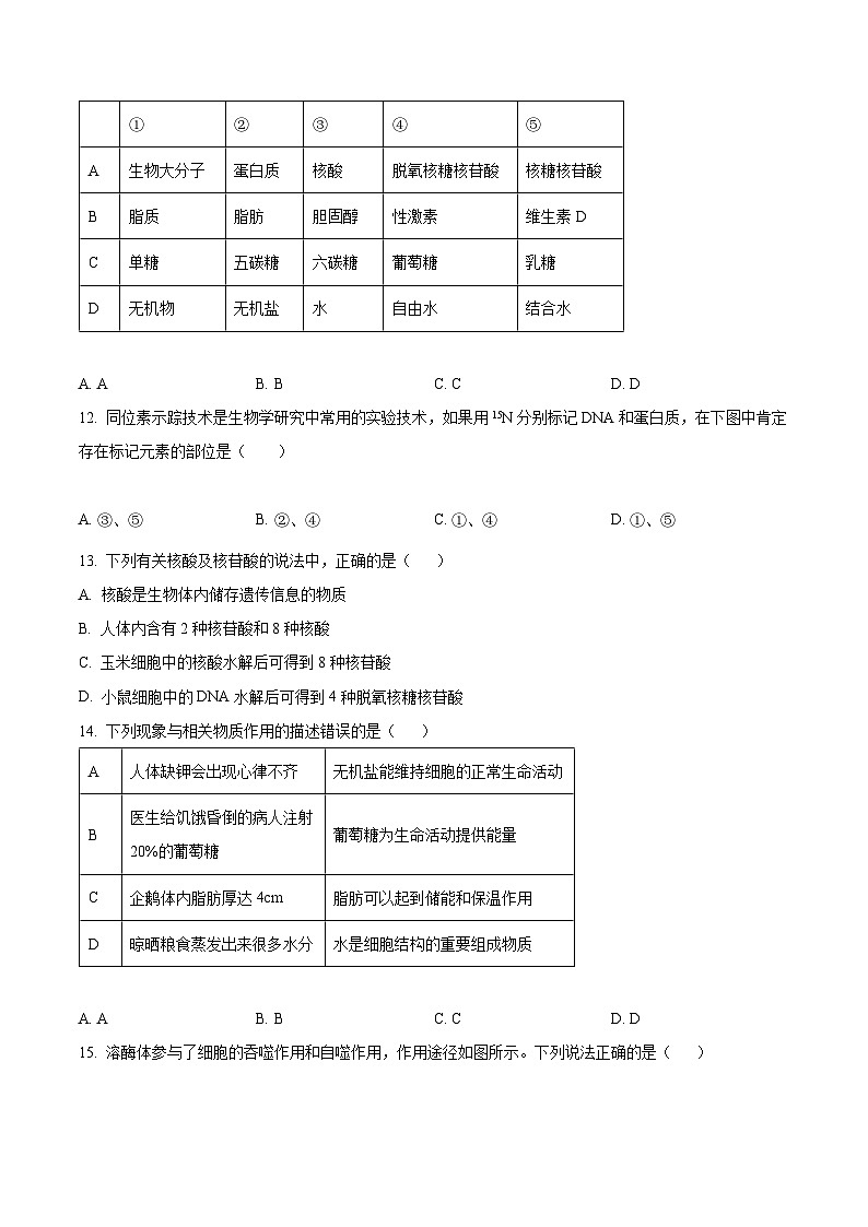 【期中真题】山西大学附中高一上学期期中生物试题03