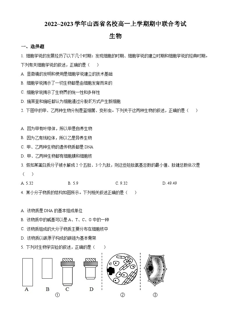 【期中真题】山西省名校高一上学期期中联合考试生物试题01