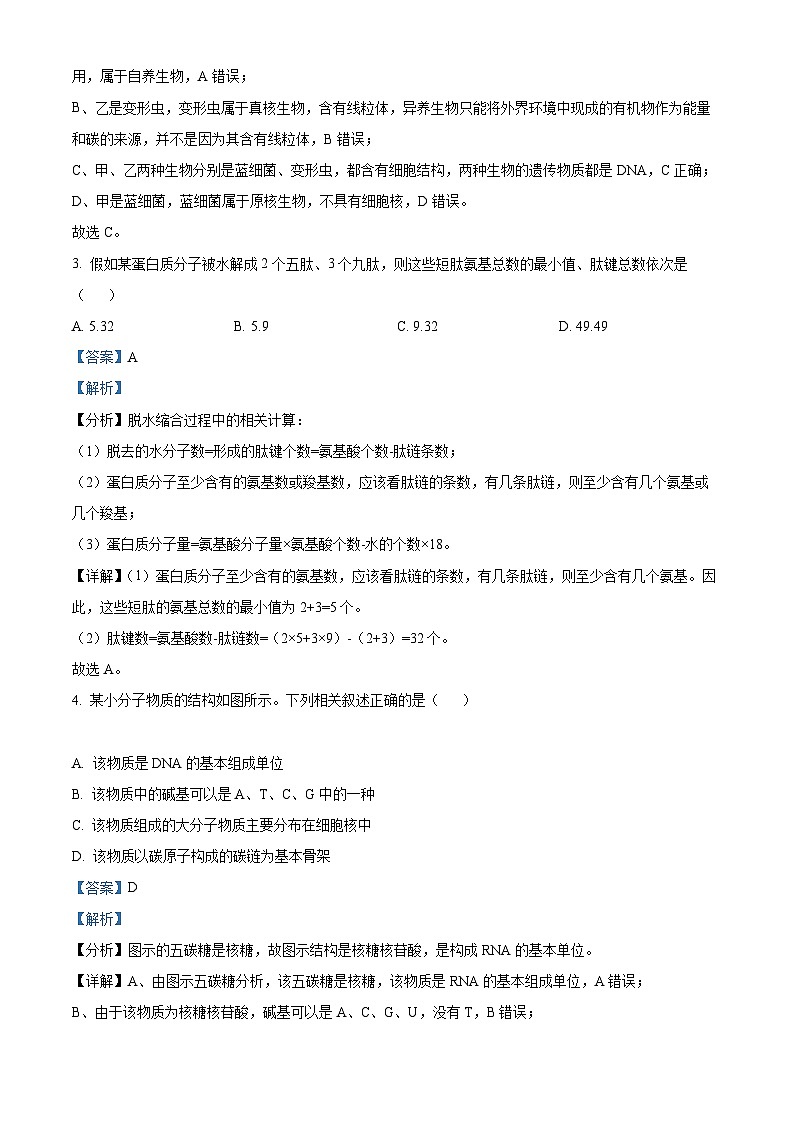 【期中真题】山西省名校高一上学期期中联合考试生物试题02