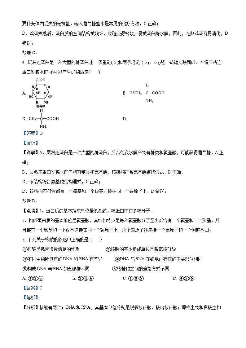 【期中真题】广东省东莞市东华高级中学高一上学期中段考生物试题03