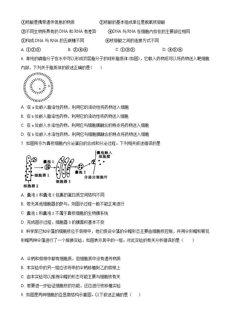 【期中真题】广东省东莞市东华高级中学高一上学期中段考生物试题02