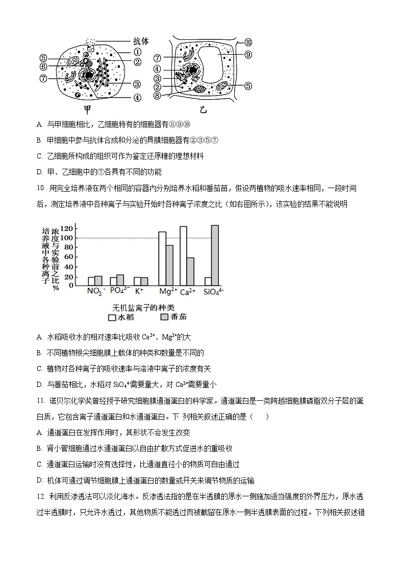 【期中真题】广东省东莞市东华高级中学高一上学期中段考生物试题03