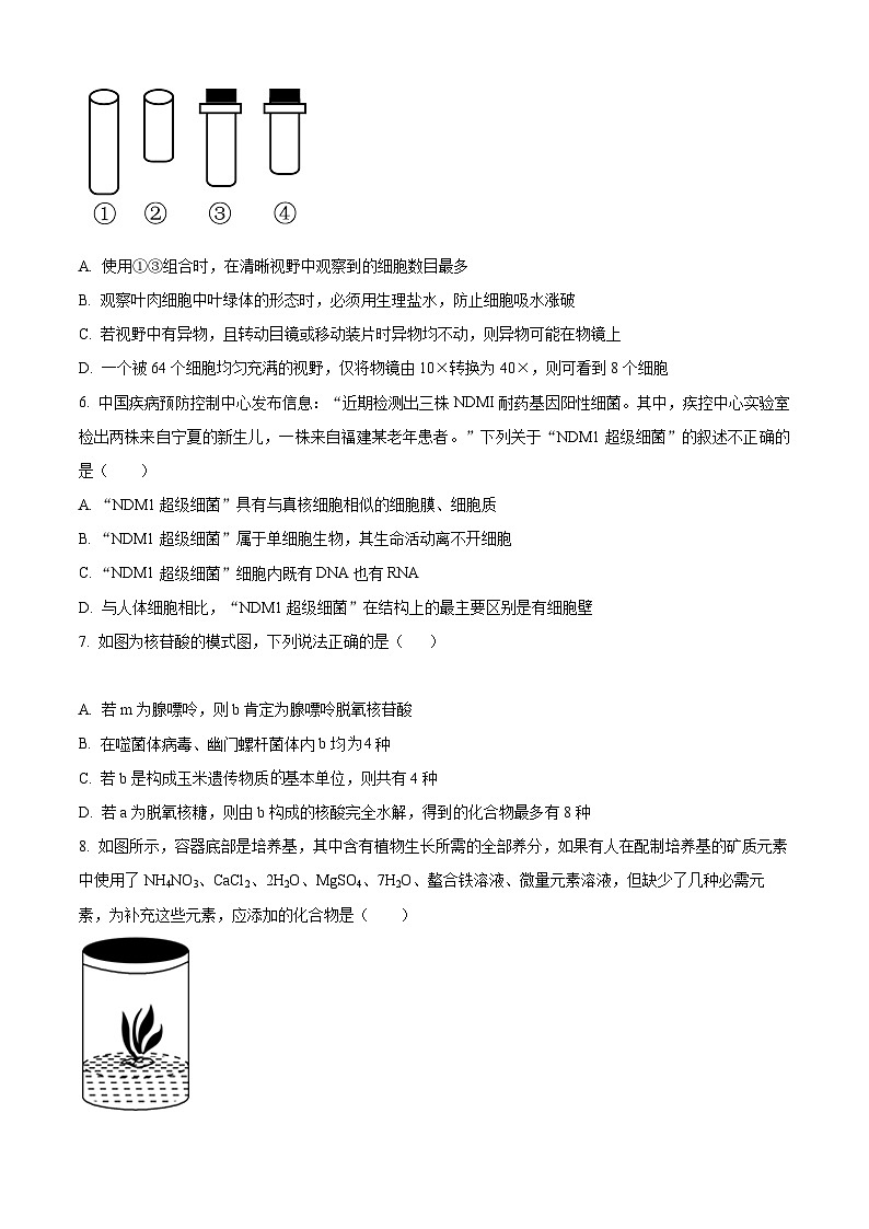 【期中真题】广东省广州市真光中学、深圳第二中学教育联盟高一上学期期中联考生物试题02