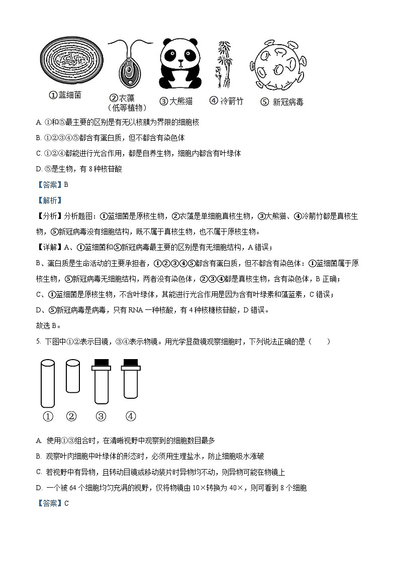【期中真题】广东省广州市真光中学、深圳第二中学教育联盟高一上学期期中联考生物试题03