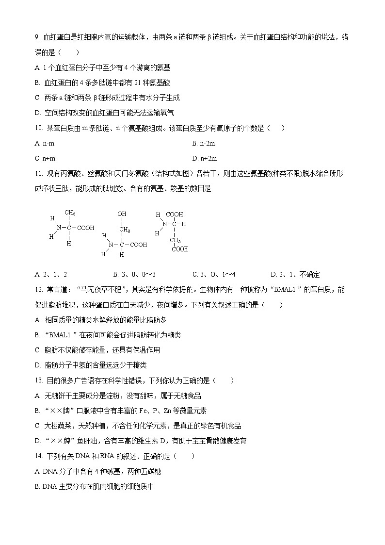 【期中真题】广东省深圳市六校联盟高一上学期期中生物学试题02