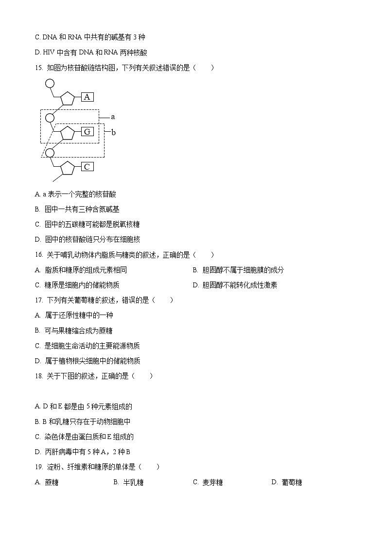 【期中真题】广东省深圳市六校联盟高一上学期期中生物学试题03