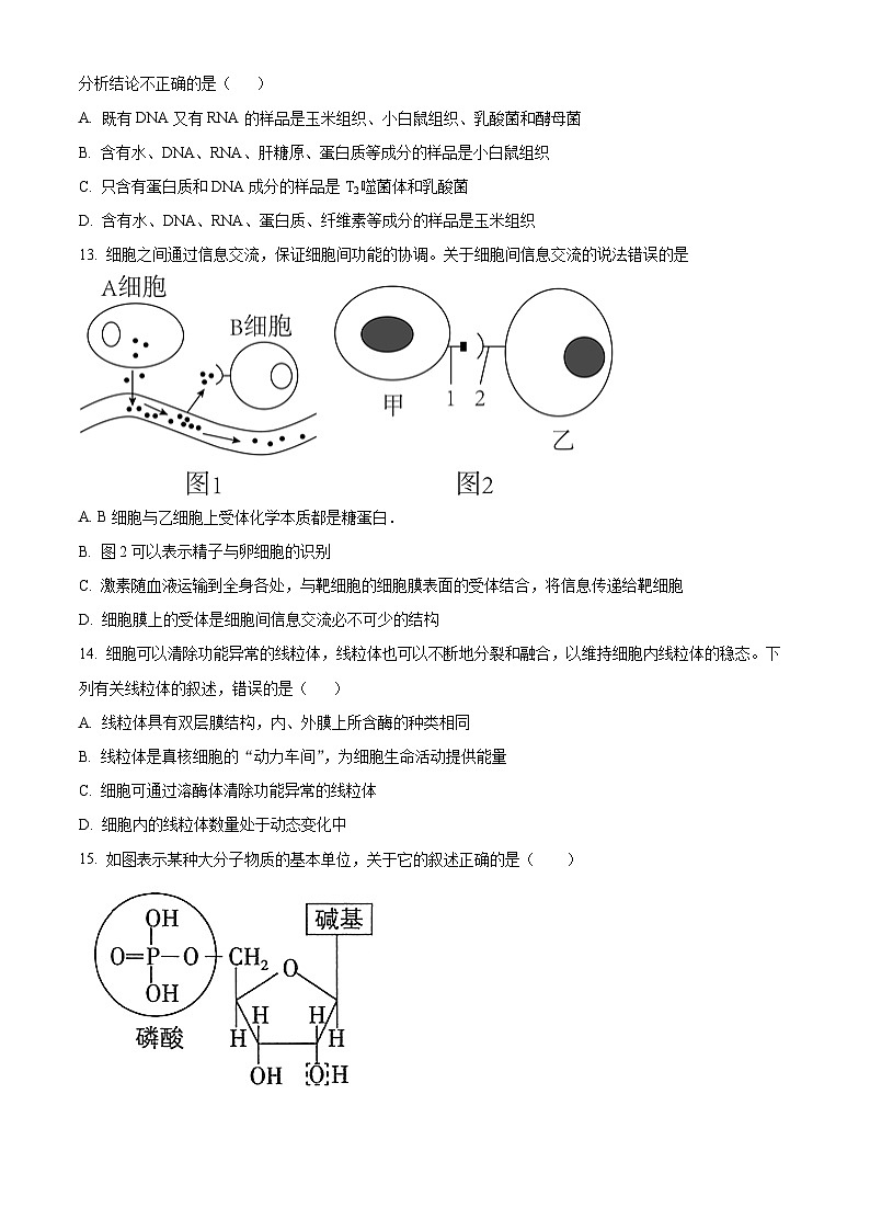 【期中真题】广西玉林市容县2021-2022学年高一上学期期中生物试题（原卷版）第3页
