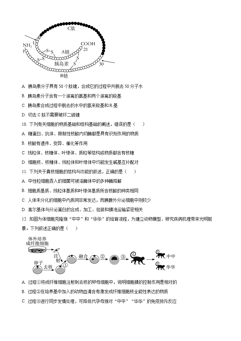 【期中真题】江西省赣州市2022-2023学年高一上学期期中生物试题（原卷版）第3页