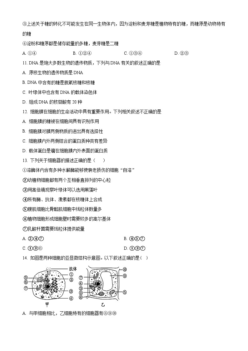 【期中真题】河北省保定市唐县一中高一上学期期中生物试题03