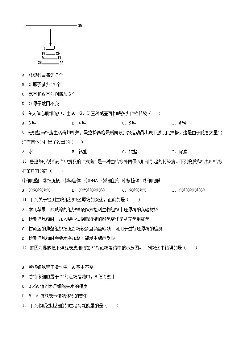 【期中真题】河北省石家庄市2021-2022学年高一上学期期中生物试题（原卷版）第2页