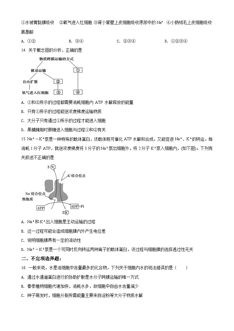 【期中真题】河北省石家庄市2021-2022学年高一上学期期中生物试题（原卷版）第3页