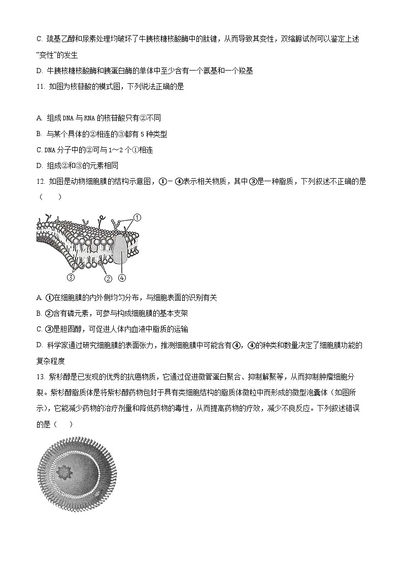 【期中真题】河南省郑州市外国语学校2021-2022学年高一上学期期中生物试题（原卷版）第3页