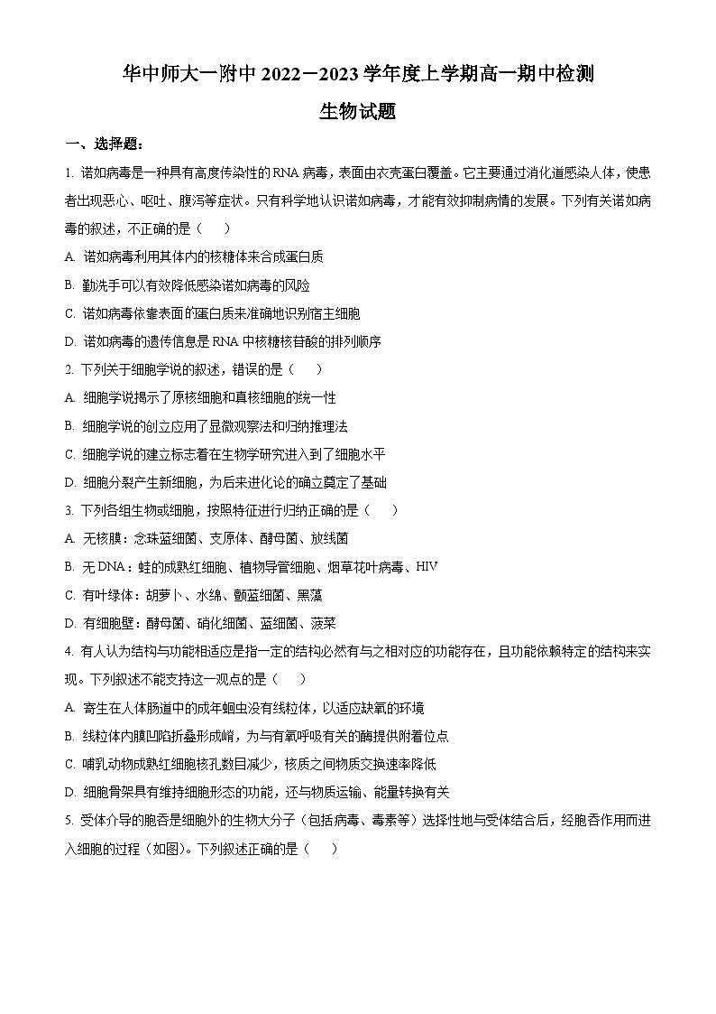 【期中真题】湖北省华中师范大学第一附属中学高一上学期期中生物试题01