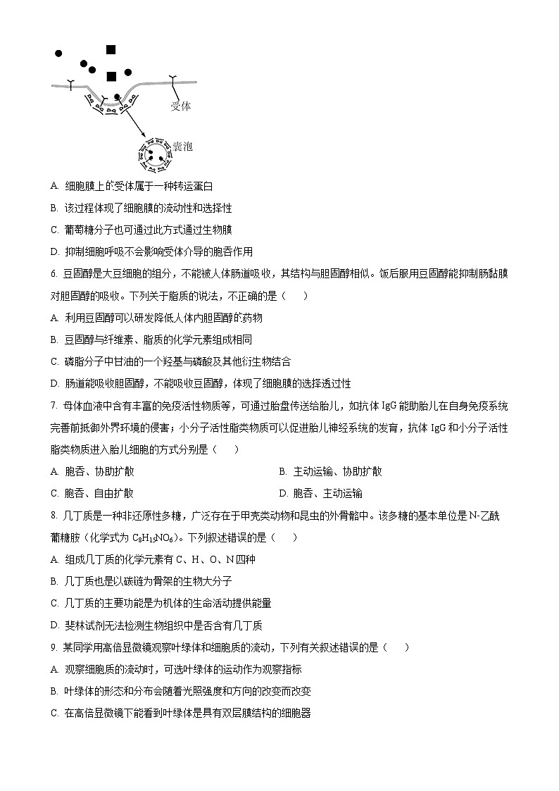 【期中真题】湖北省华中师范大学第一附属中学高一上学期期中生物试题02