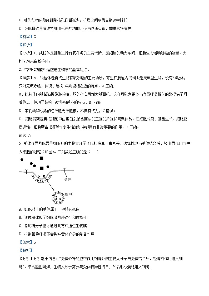 【期中真题】湖北省华中师范大学第一附属中学高一上学期期中生物试题03