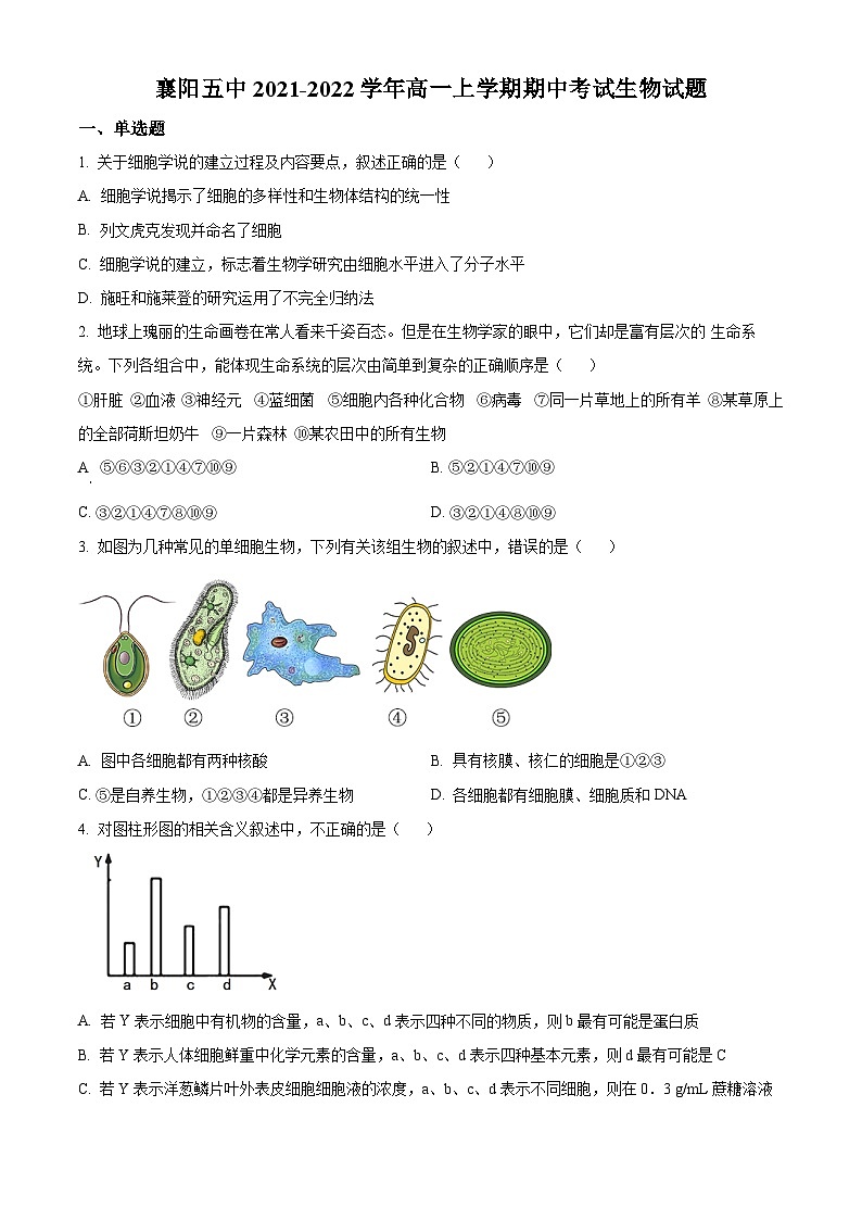【期中真题】湖北省襄阳市五中高一上学期期中生物试题01