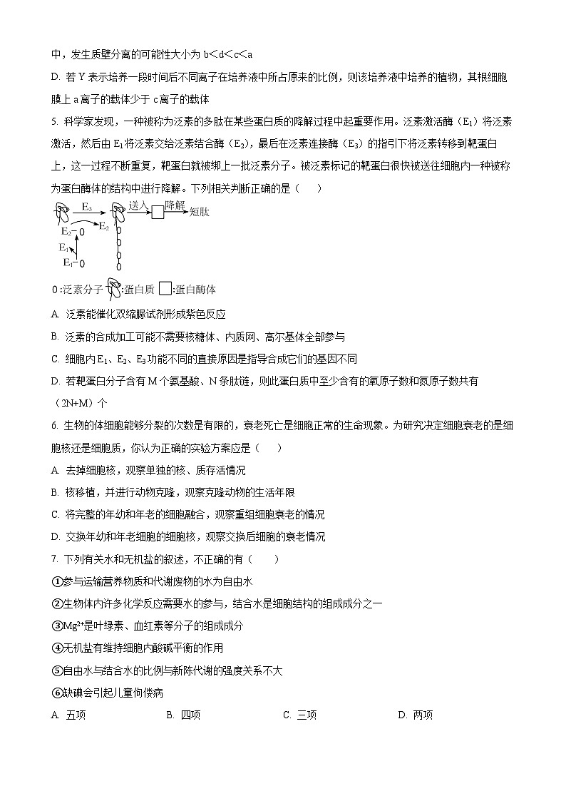 【期中真题】湖北省襄阳市五中高一上学期期中生物试题02