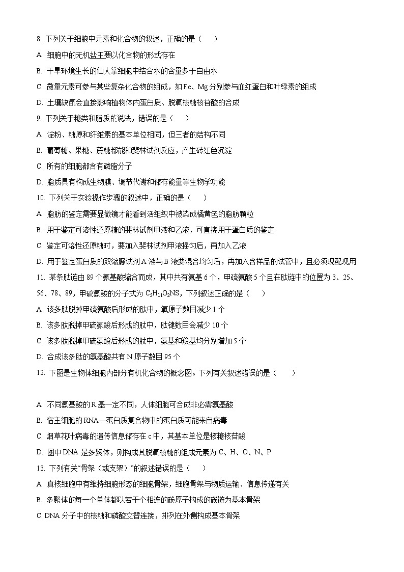 【期中真题】湖北省襄阳市五中高一上学期期中生物试题03