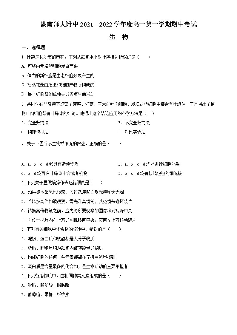 【期中真题】湖南省湖南师范大学附中高一上学期期中生物试题01