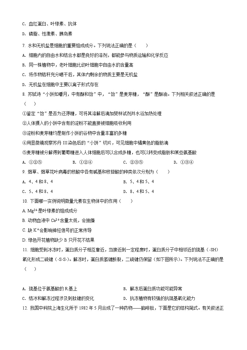 【期中真题】湖南省湖南师范大学附中高一上学期期中生物试题02