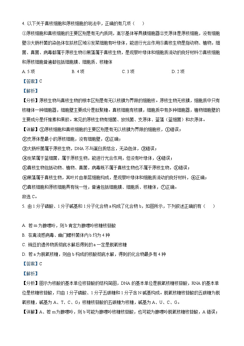 【期中真题】甘肃省兰州市一中学2022-2023学年高一上学期期中生物试题（解析版）第3页